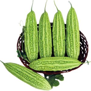 Gói 1g hạt giống khổ qua F1 - trái lớn xanh nhạt