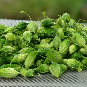 Gói 2g hạt giống khổ qua rừng