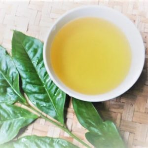 1kg lá vối tươi giải nhiệt cho cơ thể, mát gan, lợi tiểu, giảm cân