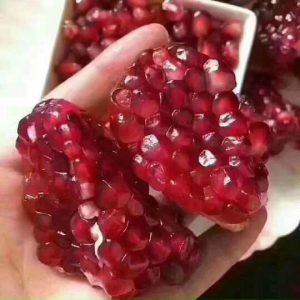 Cây giống lựu đỏ Ấn Độ - cây chiết cành cho trái sai - quả có màu đỏ đậm rực rỡ