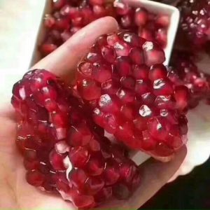 Cây giống lựu đỏ Ấn Độ - cây chiết cành cho trái sai - quả có màu đỏ đậm rực rỡ