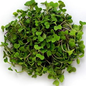 Gói 100g Hạt Giống Rau Mầm Bông Cải Xanh_ Thế Giới Rau Mầm