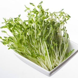 Gói 1Kg Hạt Giống Rau Mầm Đậu Hà Lan_ Thế Giới Rau Mầm