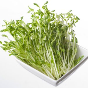 Gói 20g Hạt Giống Rau Mầm Đậu Hà Lan_ Thế Giới Rau Mầm