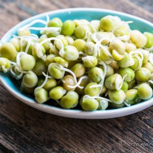 Gói 20g Hạt Giống Rau Mầm Đậu Hà Lan_ Thế Giới Rau Mầm