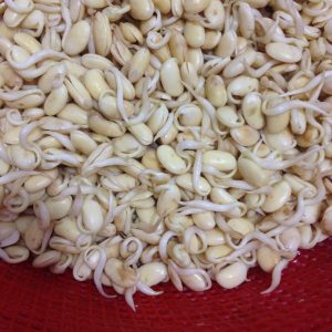 Gói 1kg hạt giống mầm đậu nành