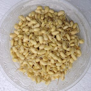 Gói 1kg hạt giống mầm đậu nành