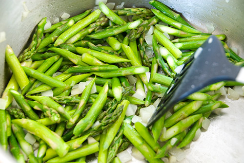 Combo 10 Cây giống măng tây xanh 1 tháng tuổi