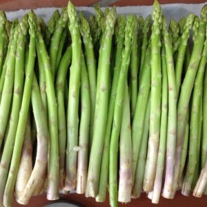 Gói 50 hạt giống măng tây California Mỹ - US.S. ASPARAGUS
