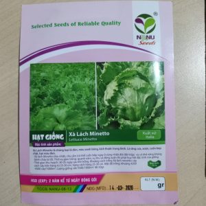 Gói 2g hạt giống xà lách Minetto