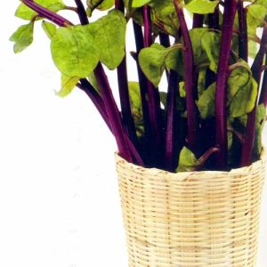 Gói 20g hạt giống mồng tơi tím