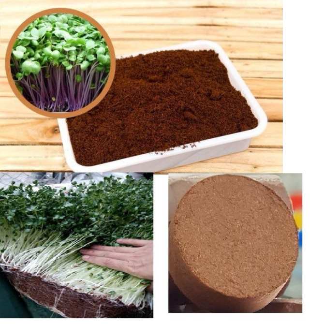 Giá thể mùn dừa nén viên