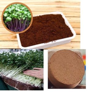 1 viên Giá Thể Mùn Dừa Nén Viên