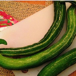 Gói 2g hạt giống mướp rắn