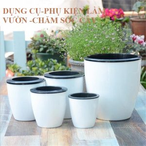 Chậu trồng cây thông minh tự tưới nước - đường kính chậu 11cm