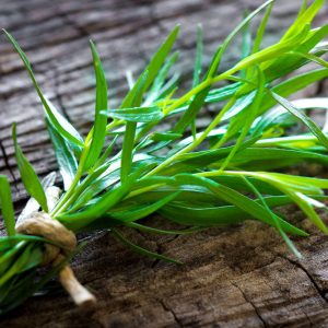 Gói 100  hạt giống Ngải Giấm Tarragon Nga