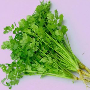 Gói 20g hạt giống ngò Bạc Liêu