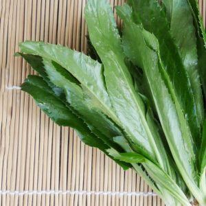 Gói 1g hạt giống ngò gai