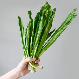 Gói 1g hạt giống ngò gai