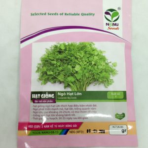 HẠT GIỐNG NGÒ HẠT LỚN Ngò Đỏ Mùi ta - 20gr