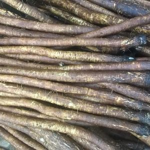 Gói 10  hạt giống Ngưu Bàng