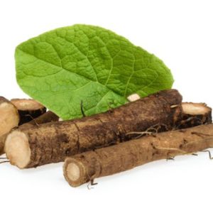 Gói 10  hạt giống Ngưu Bàng