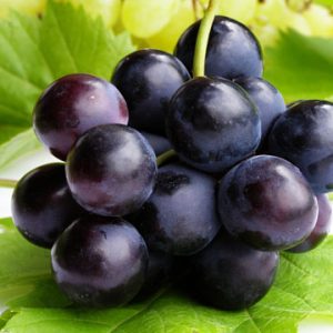 Nho Hạ  Đen không hạt - năng suất cao