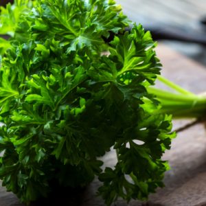 Gói 1GR hạt giống Ngò Tây (Rau mùi xoăn)