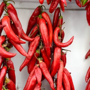 Gói 0.1g hạt giống ớt cay lai F1 Ấn Độ