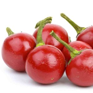 Chậu cây Ớt Pimiento - Ớt Cherry - Ớt Anh Đào - Ớt tròn ngũ sắc - trái non màu tím, chín chuyển đỏ rất đẹp