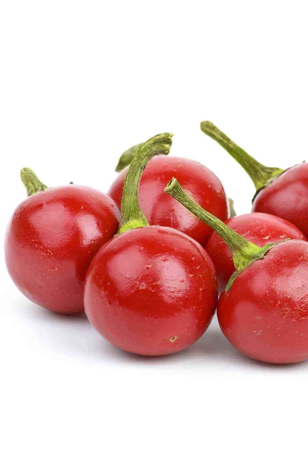 Chậu cây Ớt Pimiento - Ớt Cherry - Ớt Anh Đào - Ớt tròn ngũ sắc - trái non màu tím, chín chuyển đỏ rất đẹp