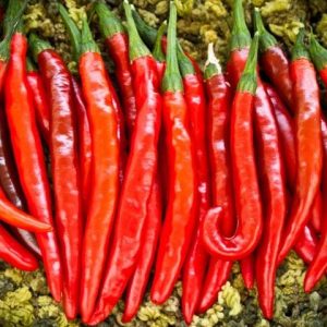 Gói 0.2g hạt giống ớt trái dài hàn quốc