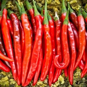 Gói 0.2g hạt giống ớt trái dài hàn quốc
