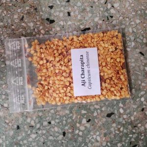 Gói 30 hạt giống Ớt Peru Aji Charapita Mắc Nhất Thế Giới (Capsicum chinense)