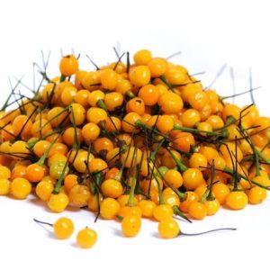 Gói 10 trái ớt peru Aji Charapita Mắc Nhất Thế Giới