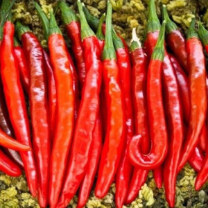 Gói 0.2gr ớt sừng hàn Quốc