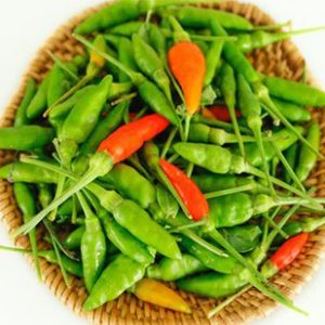 Gói 0.4g hạt giống ớt xiêm