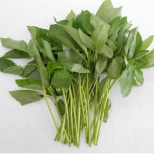 Gói 20g hạt giống rau đay trắng