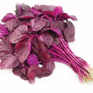 Gói 20g hạt giống rau dền đỏ - Nanuseeds