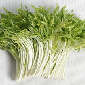Gói 1kg Hạt Giống rau mầm rau muống Đài Loan