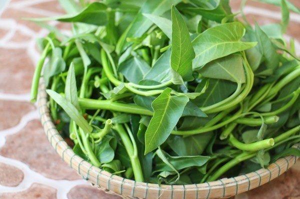 Gói 1kg hạt giống rau muống Thái Lan