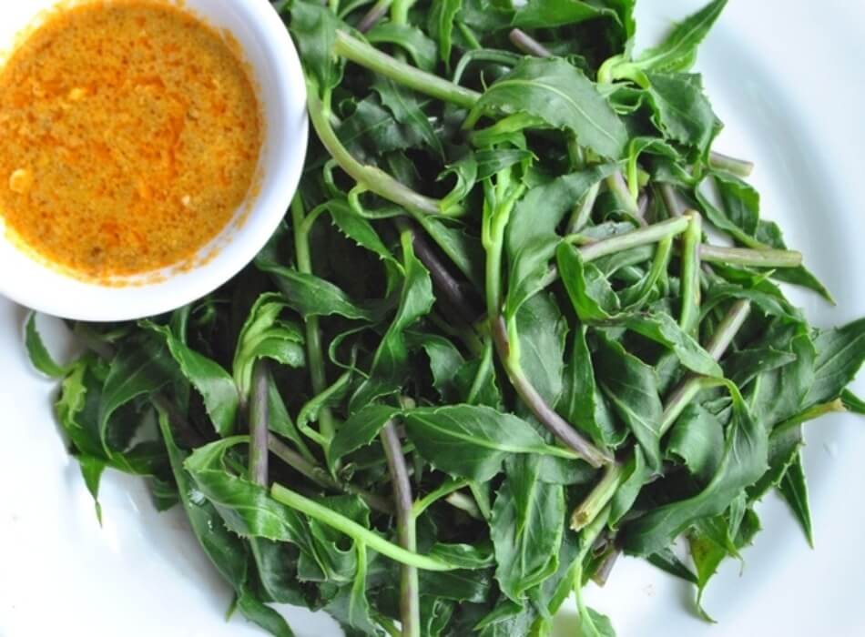 Combo 10 Cây Giống Rau Rừng Gia Lai