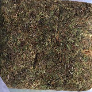 Gói 1kg rêu rừng sạch - giá thể trồng lan