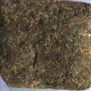 Gói 1kg rêu rừng sạch - giá thể trồng lan