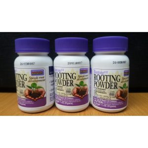 Rooting Powder hàng chính hãng nhập Mỹ lọ 35g - Bột siêu kích rễ cho cây, Lan