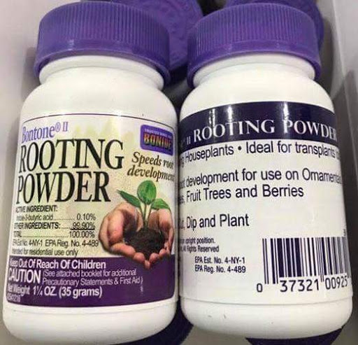 rooting-powder-1 Rooting Powder hàng chính hãng nhập Mỹ lọ 35g - Bột siêu kích rễ cho cây, Lan
