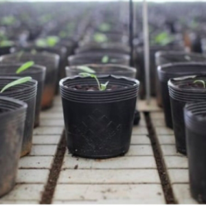 1 cái chậu nhựa đen size C9A KT: 21x16x17cm mềm dẻo bền đẹp