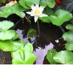 screen-shot-2022-05-06-at-10-24-33-pm-3