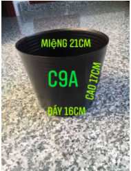 1 cái chậu nhựa đen C9 bít lỗ trồng sen súng