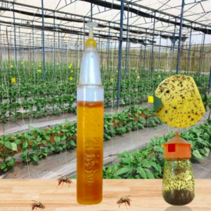 Tuýp 2ml dung dịch dẫn dụ ruồi vàng